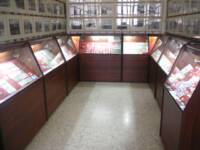 Museo Hector Vasquez-Numismatica